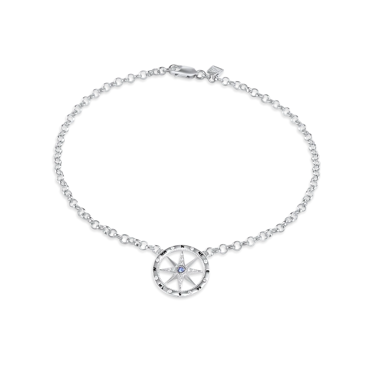 Compass Anklet