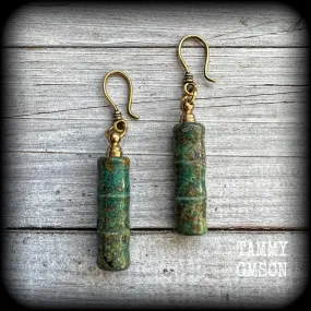 Fossilized coral earrings-Ear hangers