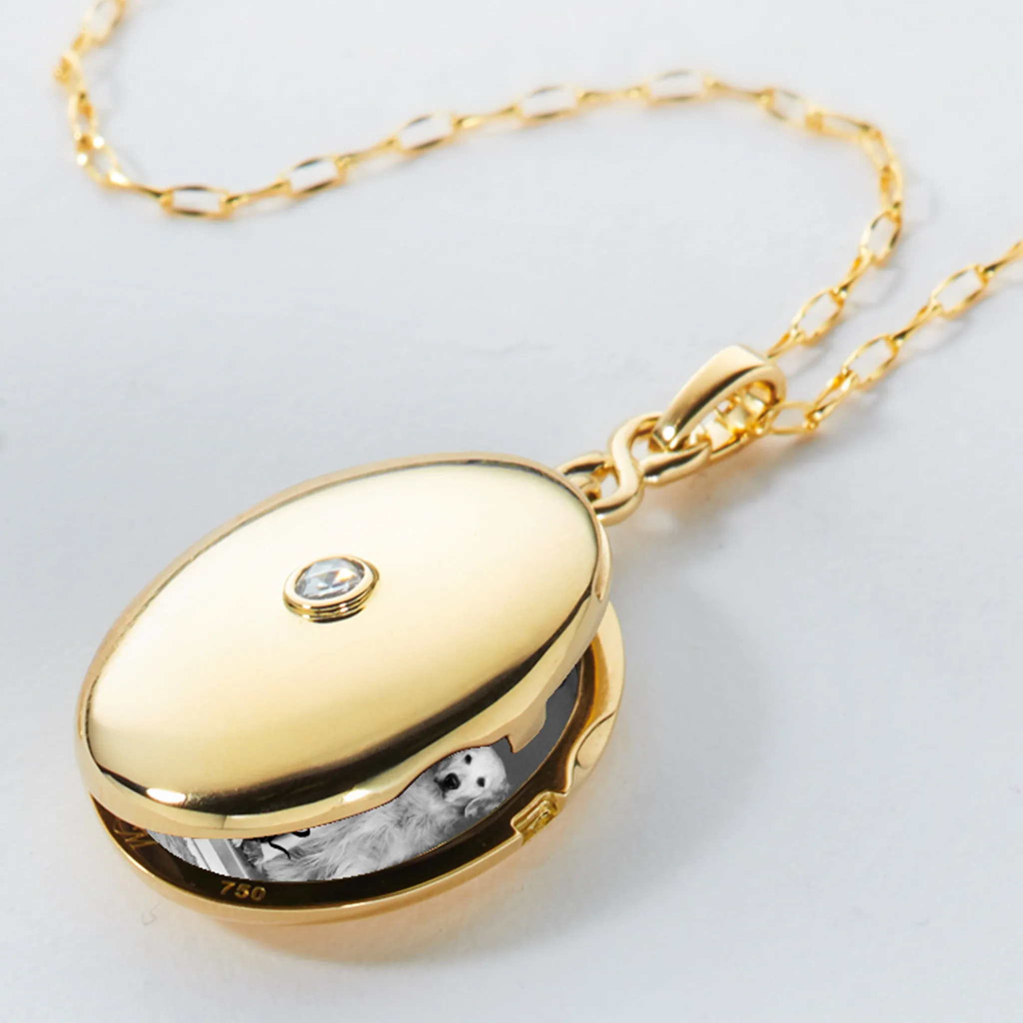 Infinity Diamond & Gold Locket Necklace