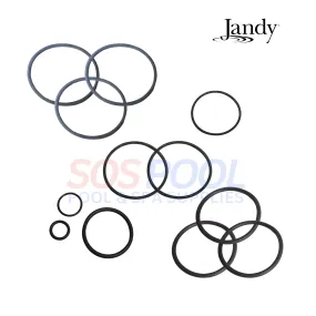 Jandy O-Ring Kit for DEV and DEL Filters | R0358000