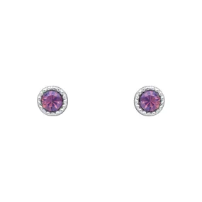 Laura Ashley Stippled Purple Crystal Silver Tone Stud Earrings E6518