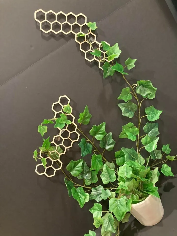 Wall Plant Trellis | FAST SHIPPING | Honeycomb Houseplant Trellis | Indoor Garden Trellis | Plant Lover Gift | Plant Accessory